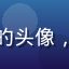 测试工程师张伟的头像，男性，专业形象